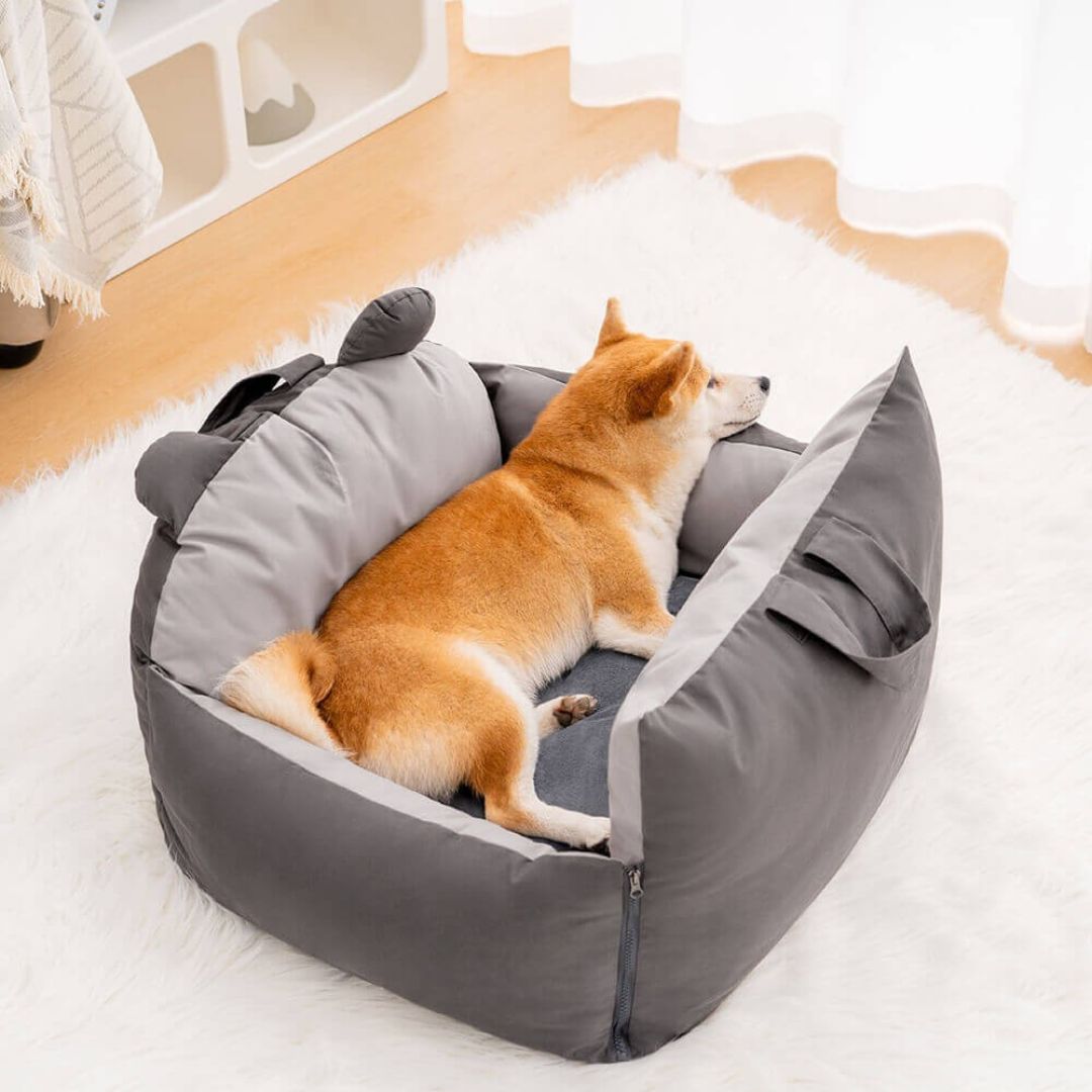 Hund Autositz | Hundesitz für die Rückbank | Hundetransportbox | Hundebox
