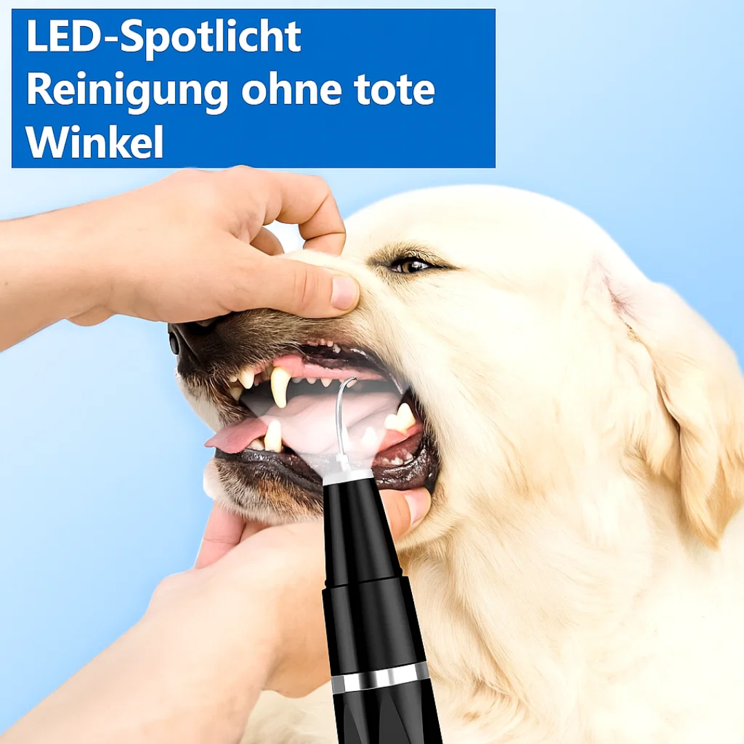 Zahnstein von Hunden & Katzen entfernen | Zahnpflege für Haustiere | Zahnreiniger | PlaqueFree