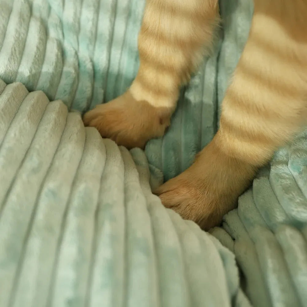 Orthopädisches Hundebett für große und kleine Hunde | Waschbares Hundekissen | WuffNest