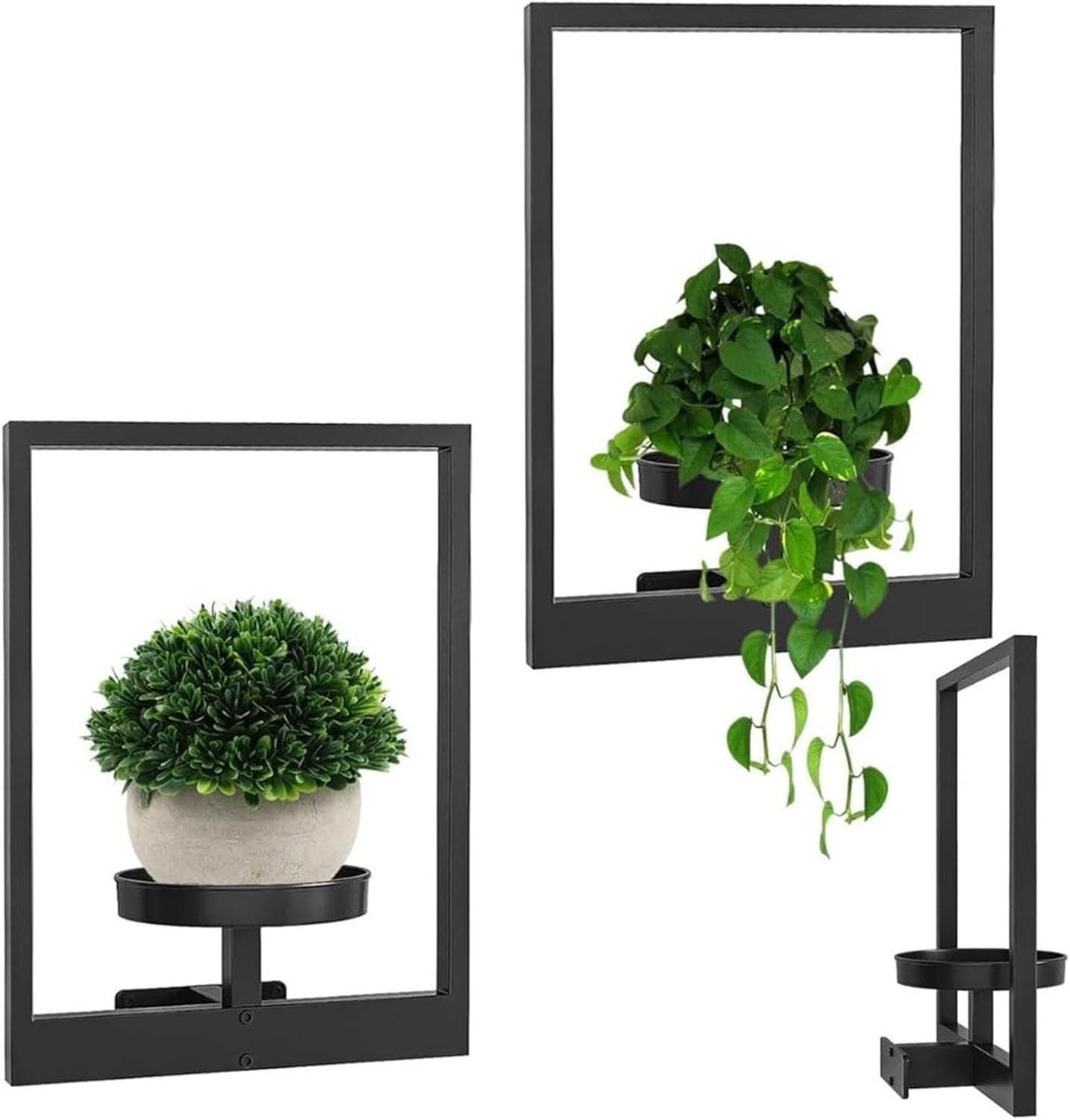Wandhalterung für Pflanzen | Pflanzenwand für Innenräume | GreenWall