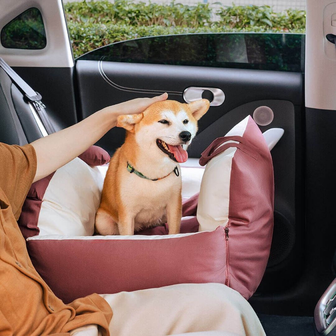Hund Autositz | Hundesitz für die Rückbank | Hundetransportbox | Hundebox