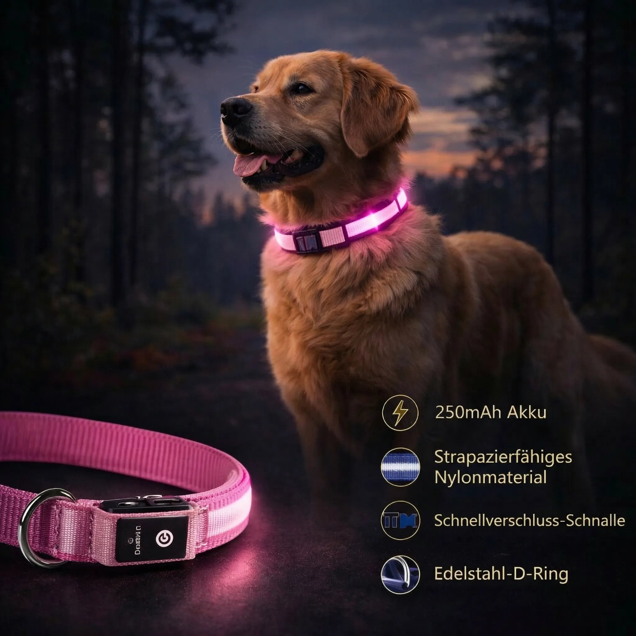 Glow-Halsband für Hunde | LED-Hundehalsband | GlowHund